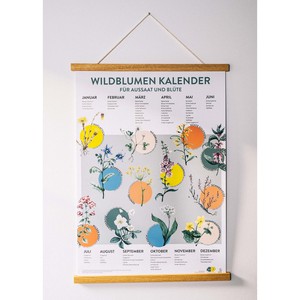 Saisonkalender für Blumen - Aussaat und Blüte regionaler Blumen - Zeitlos from 4peoplewhocare