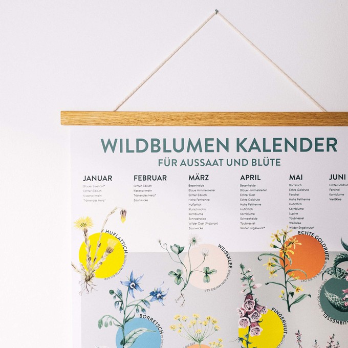 Saisonkalender für Blumen - Aussaat und Blüte regionaler Blumen - Zeitlos from 4peoplewhocare