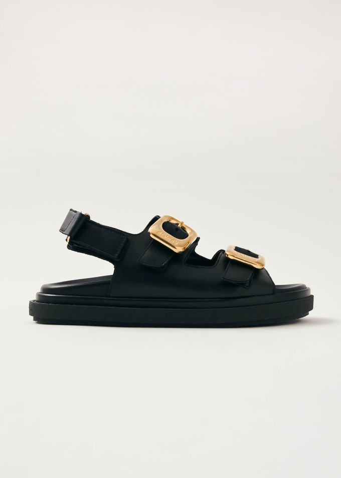 Daria Black Leather Sandals from Alohas