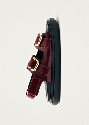 Harper Onix Burgundy Leather Sandals from Alohas