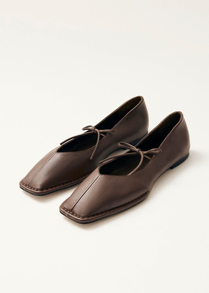 Sway Chestnut Brown Leather Ballet Flats from Alohas