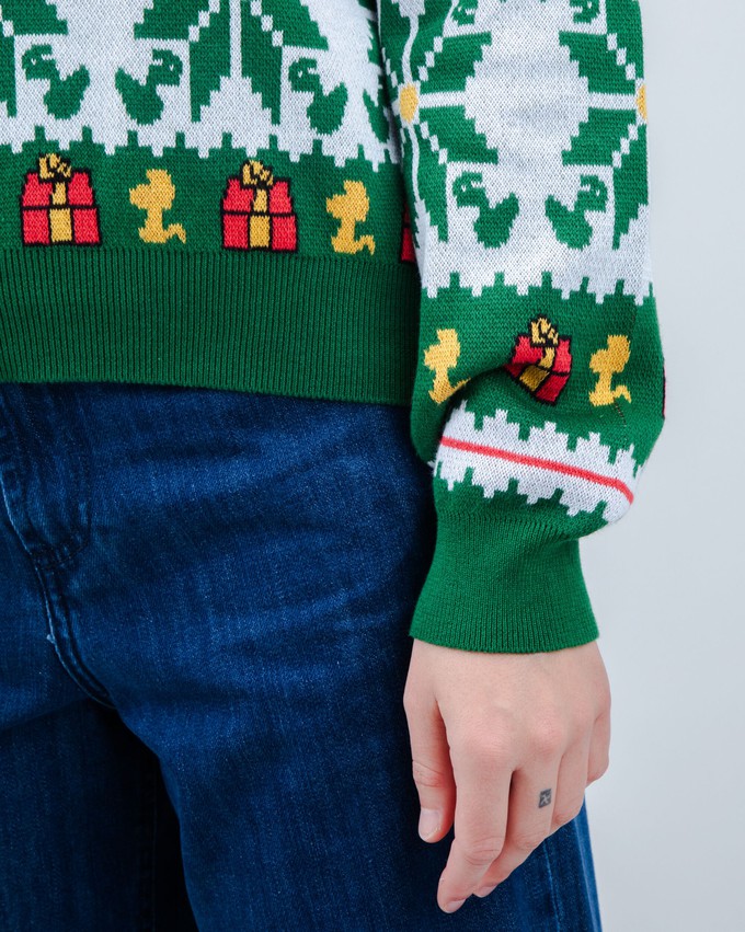 Peanuts Xmas Cotton Sweater Multicolor from Brava Fabrics