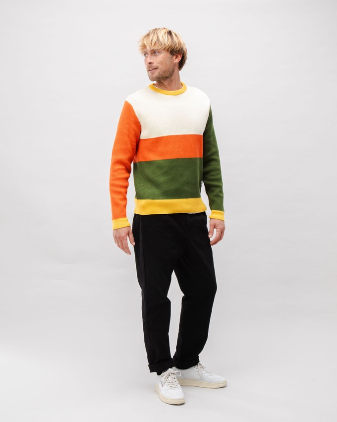 Stripes Cotton Sweater Multicolor from Brava Fabrics