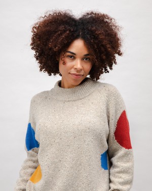 Perkins Raglan Wool Sweater Multicolor from Brava Fabrics