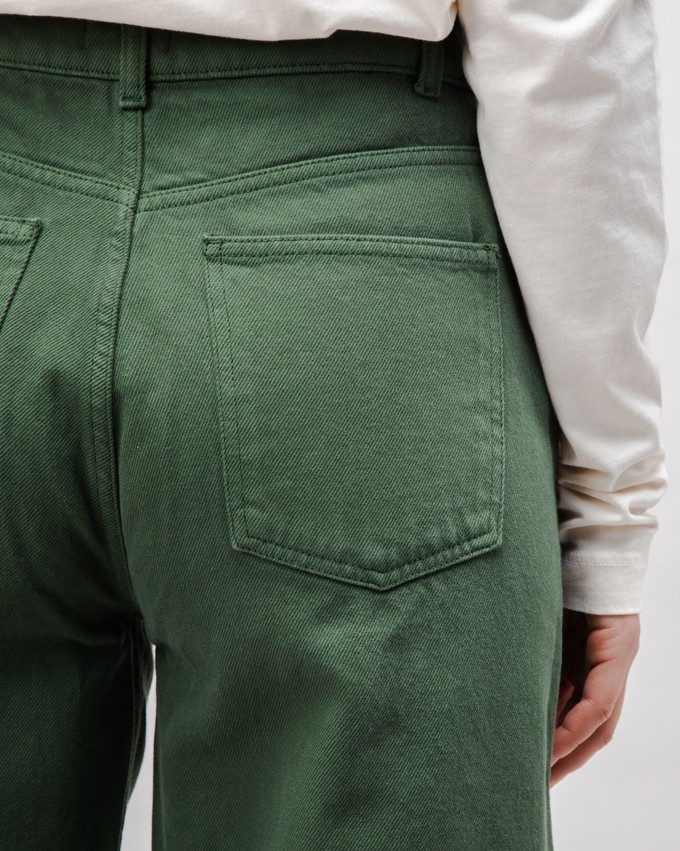 5 Pocket Cotton Twill Pants Green from Brava Fabrics