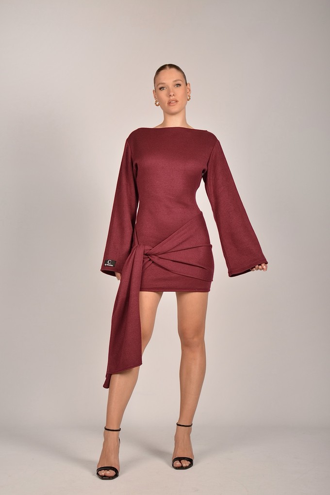 Serena Mini Dress from C by Stories