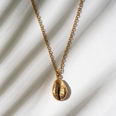 Concha Necklace Gold via Cano