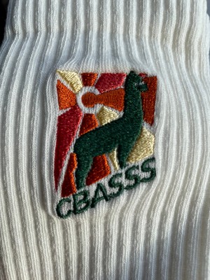 Socks from CBASSS