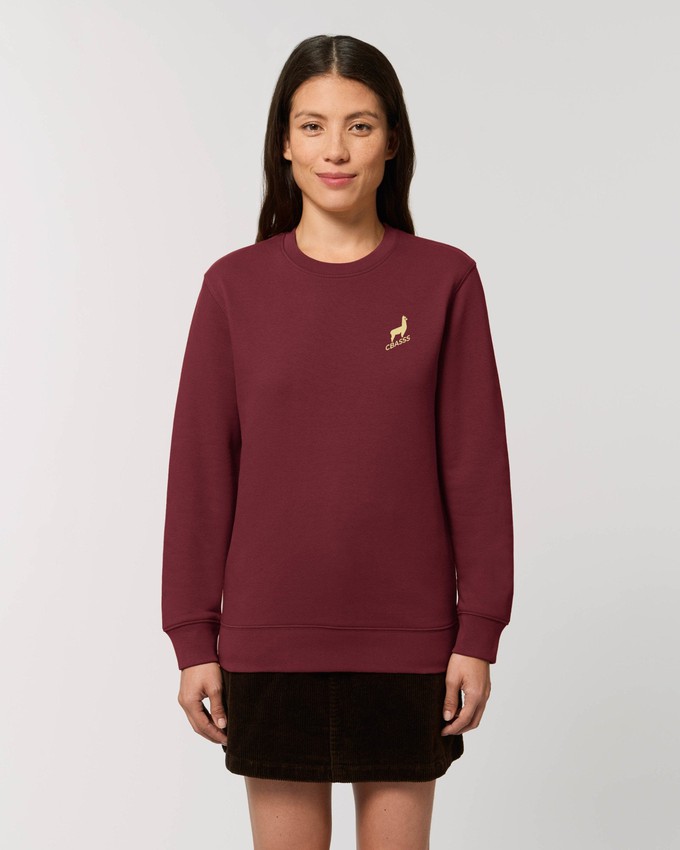 Sweater - Burgundy from CBASSS