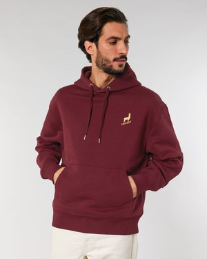 Hoodie - Burgundy from CBASSS