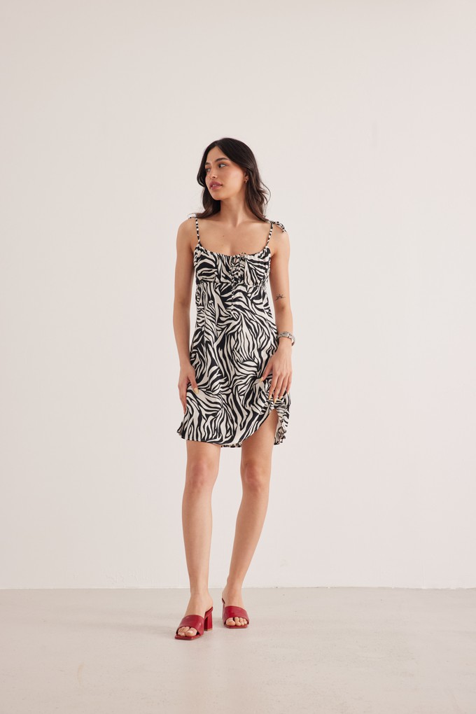 Full of Love Zebra Dress from Chillax