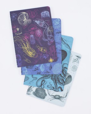 Set of pocket notebooks marine biology from Fairy Positron