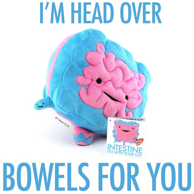 plushie bowels - Go with your gut from Fairy Positron