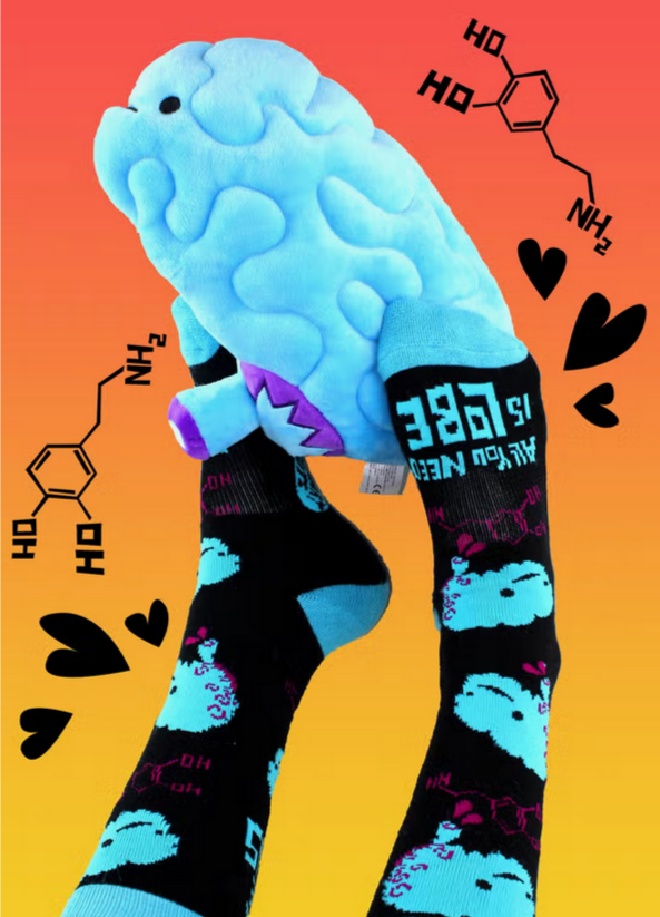 socks brain - All you need is lobe from Fairy Positron