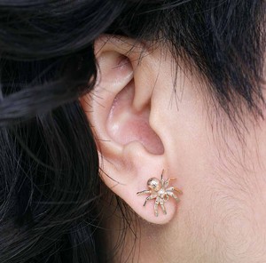 Silver earrings with bronze spider from Fairy Positron