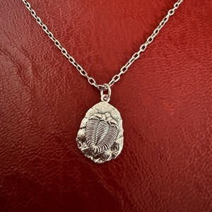 Silver necklace trilobite from Fairy Positron