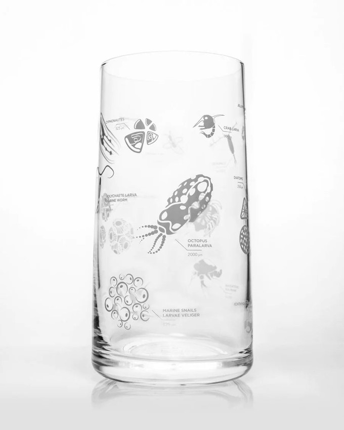 Glass Plankton from Fairy Positron