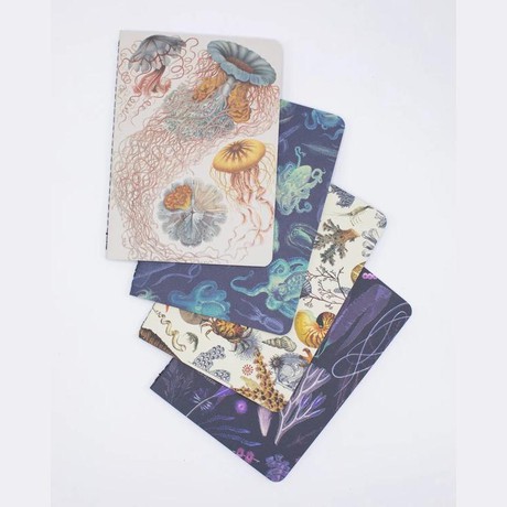 Set of pocket notebooks ocean from Fairy Positron