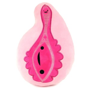 zip case vulva "yay for the va-jay-jay" from Fairy Positron