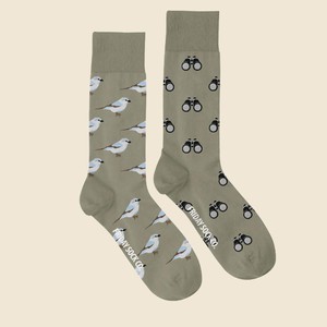 socks bird watching from Fairy Positron