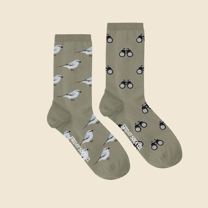 socks bird watching from Fairy Positron