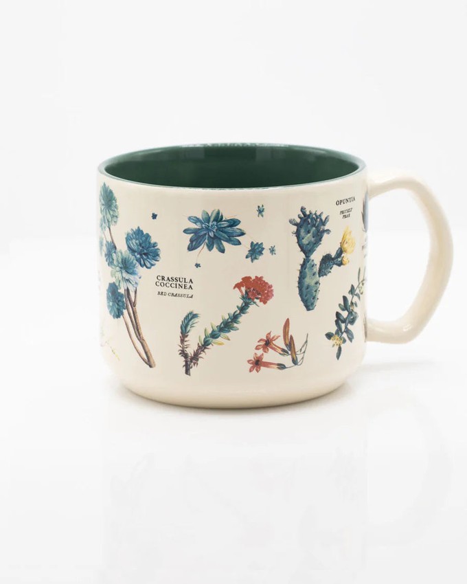 Mug Succulents from Fairy Positron