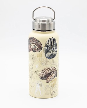 Drinkfles "Brain & Neuroscience" (950ml) from Fairy Positron