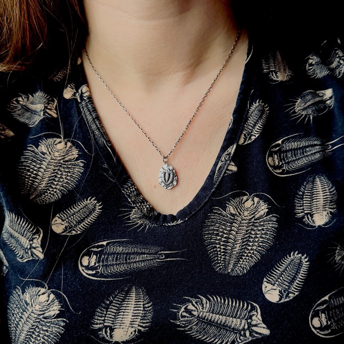 Silver necklace trilobite from Fairy Positron