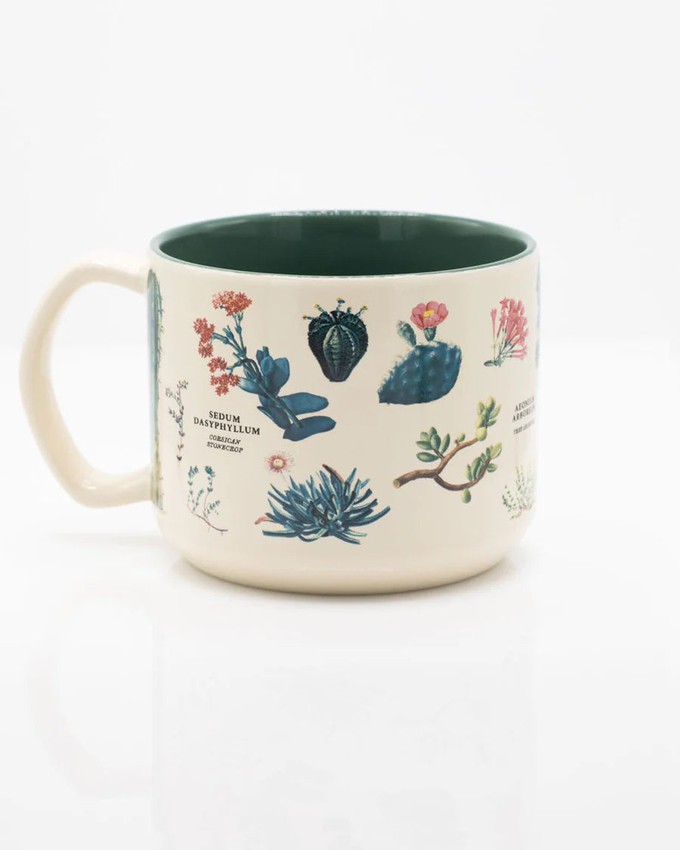 Mug Succulents from Fairy Positron