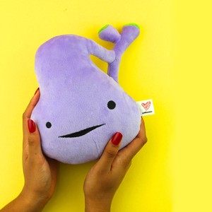 plushie gallbladder - You've got gall from Fairy Positron