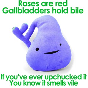 plushie gallbladder - You've got gall from Fairy Positron