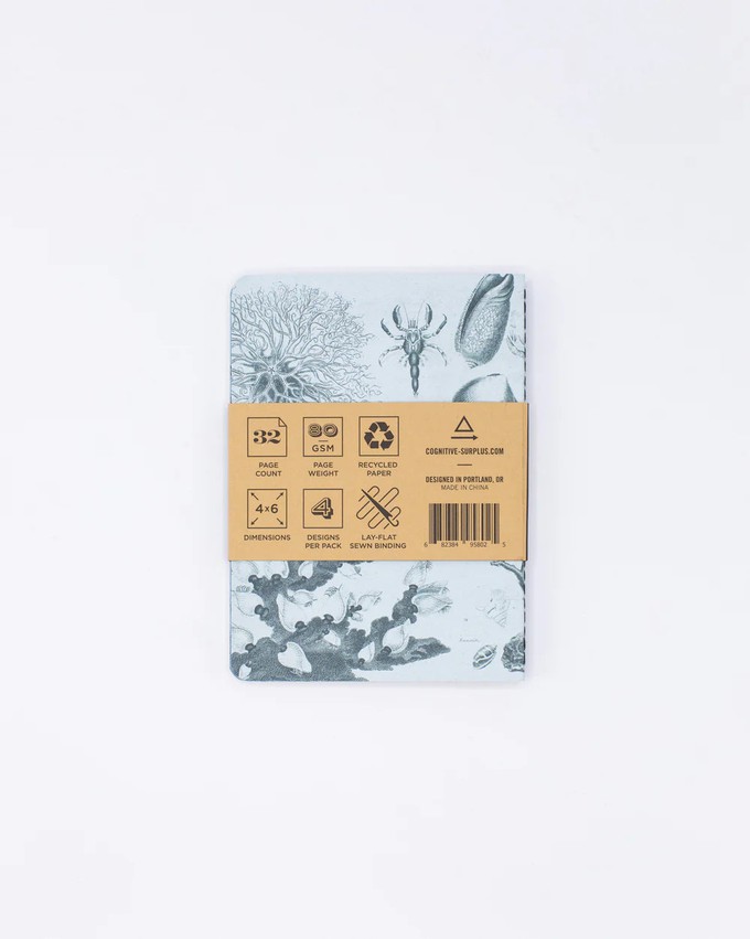 Set of pocket notebooks marine biology from Fairy Positron