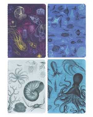 Set of pocket notebooks marine biology from Fairy Positron