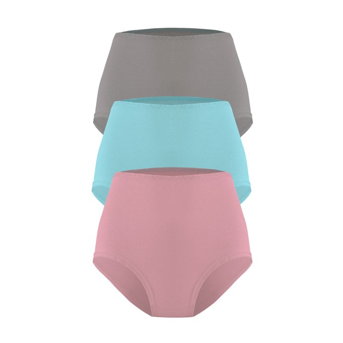 set of 3 organic hight waist knickers Lille Moor from Frija Omina