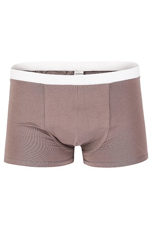 Organic men’s trunk boxer shorts, taupe from Frija Omina