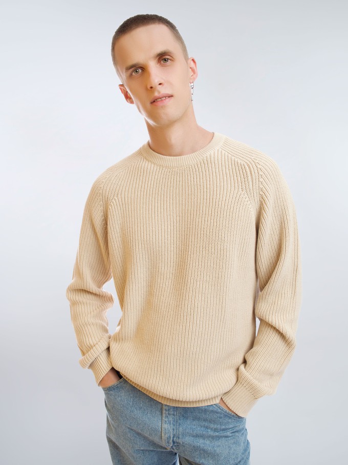 Heavy Knit Jumper Men from Honest Basics