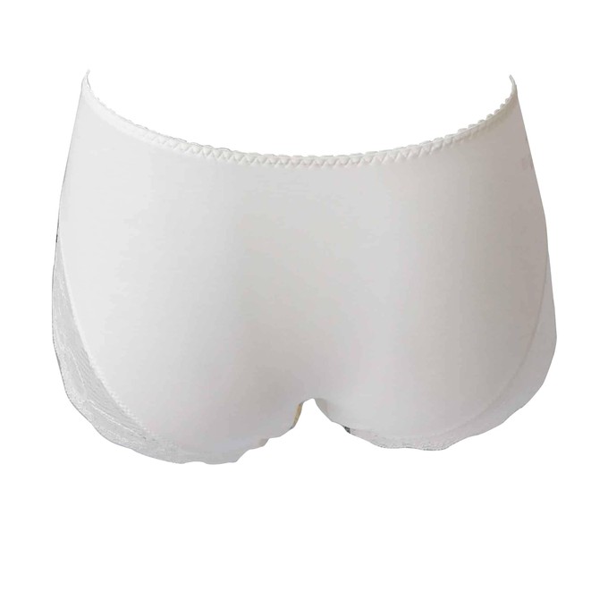 Morpho - Silk & Organic Cotton Brief from JulieMay Lingerie