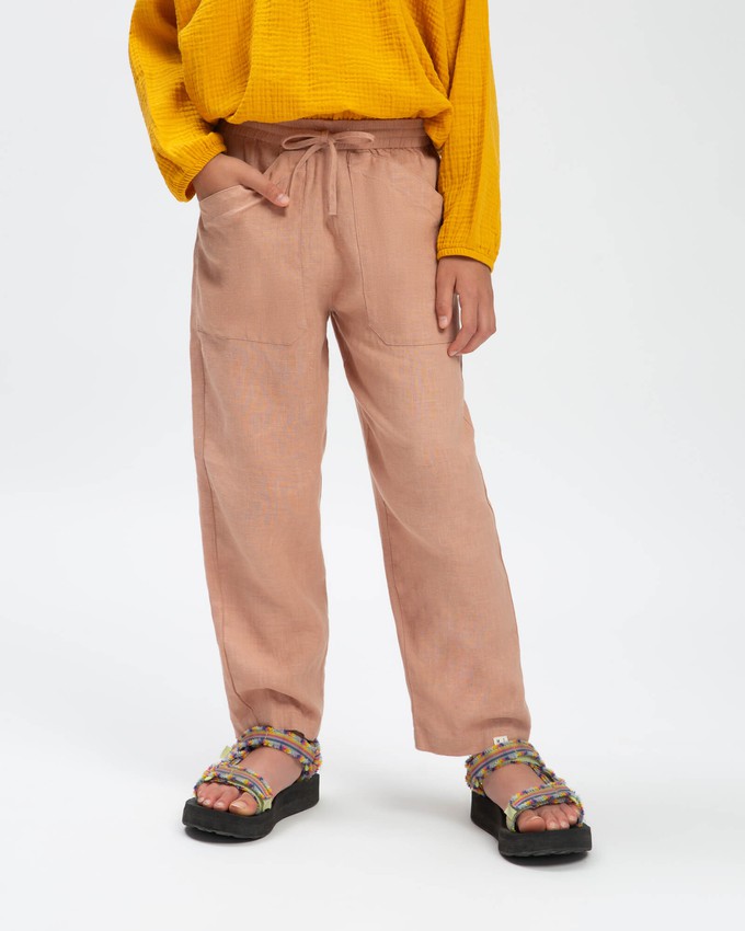 Garden Pants rose from Matona