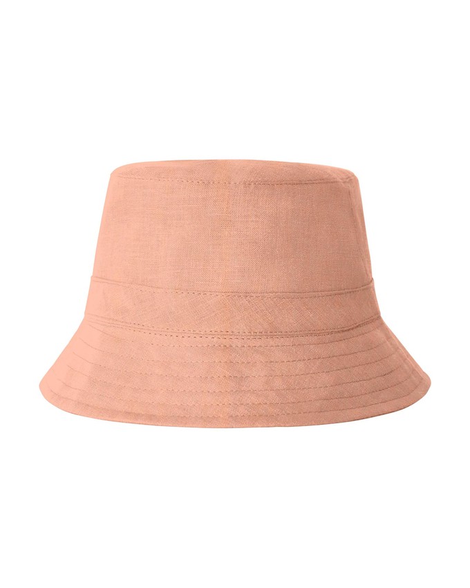 Sun Hat rose from Matona