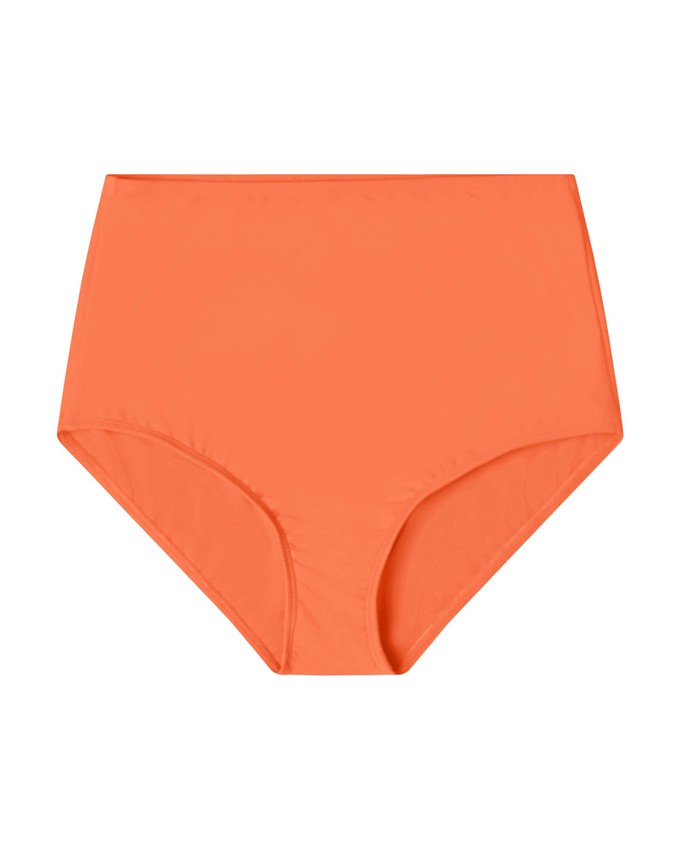 Bikini Bottom coral from Matona