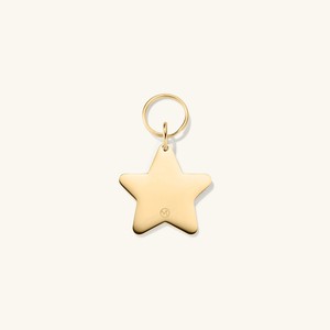 Star Pet Tag from Mejuri