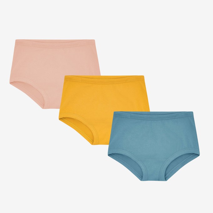 Shop Elephant Brief Underwear with great discounts and prices online - Feb  2024