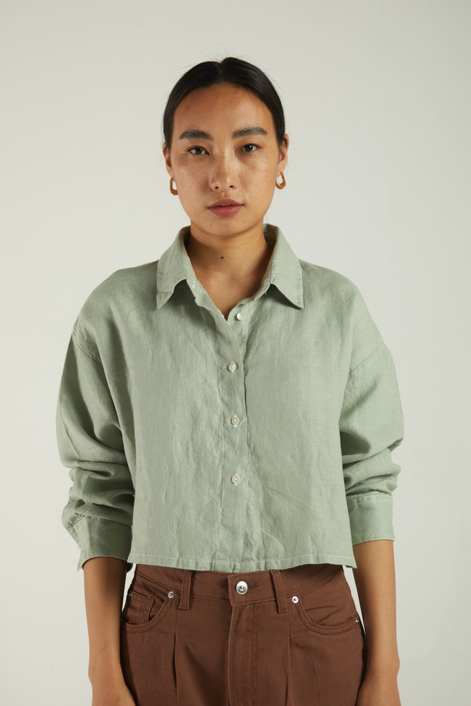 Crop it Like its Hot Shirt in Light Olive from Reistor