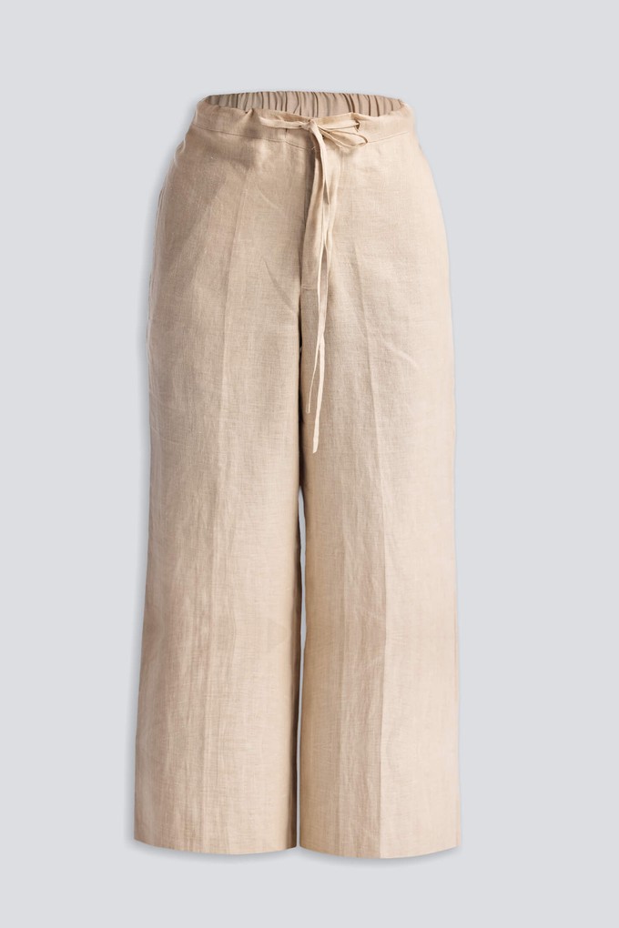 Wide Leg Pants in Hemp from Reistor