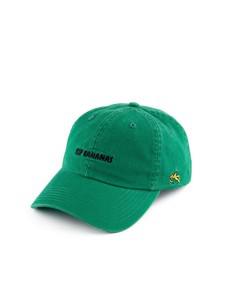 Kelly Green Dad Hat via Rip Bananas