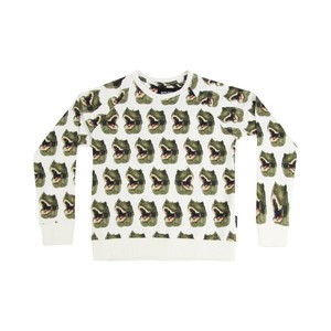 Dino Sweater Kids from SNURK