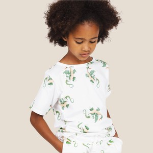 Dragon T-shirt Kids from SNURK