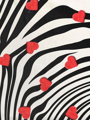 Zebra Love Slip dress Kids from SNURK