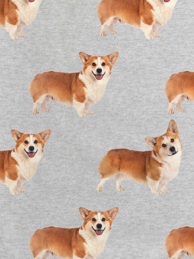 Corgi Time Sweater Women from SNURK