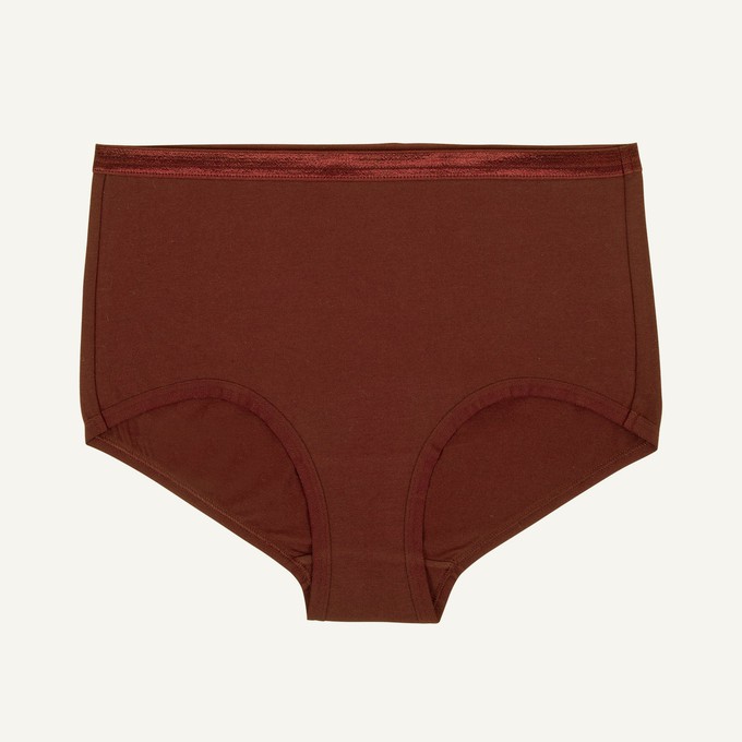 Organic Cotton Mid-Rise Retro Brief in Cacao from Subset